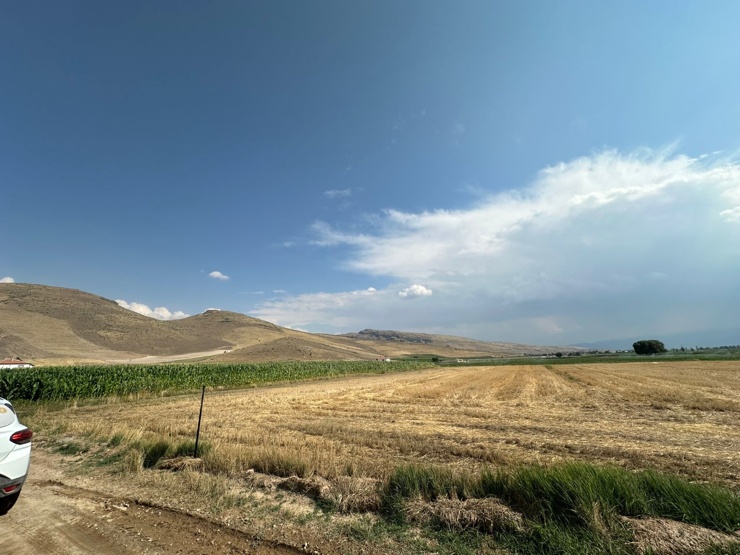 KAYSERİ DEVELİ ZİLE MAHALLESİ ÖRENTEPE MEVKİNDE SATILIK TARLA